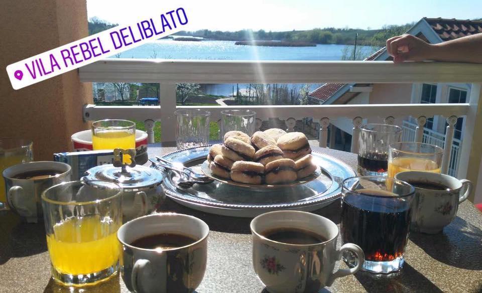 Guesthouse Rebel Deliblato Zewnętrze zdjęcie
